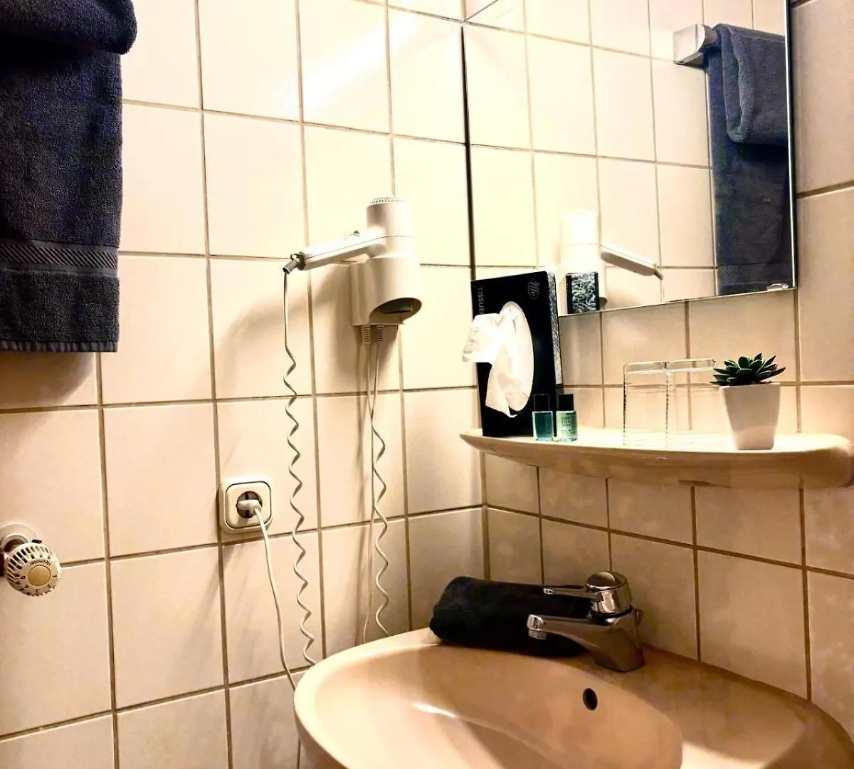 Hotel Gasthof Schneider Pautzfeld Hallerndorf