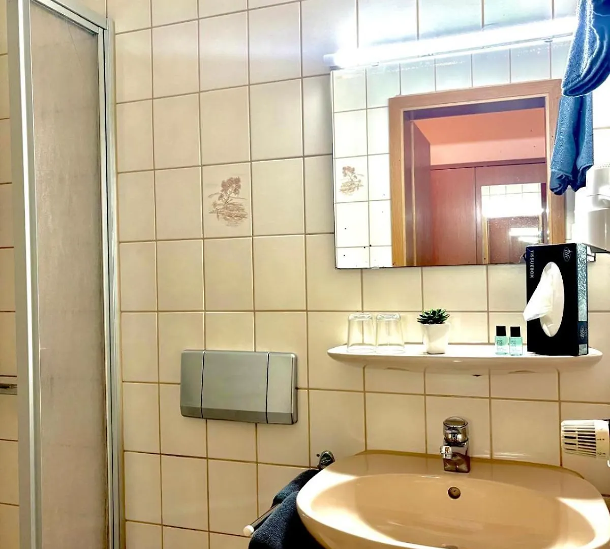 *** Hotel Gasthof Schneider Pautzfeld Hallerndorf Germany